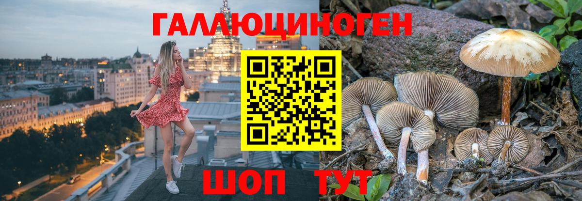 Заволжье  Псилоцибиновые грибы Psilocybine cubensis  купить закладку  Вход с VPN 